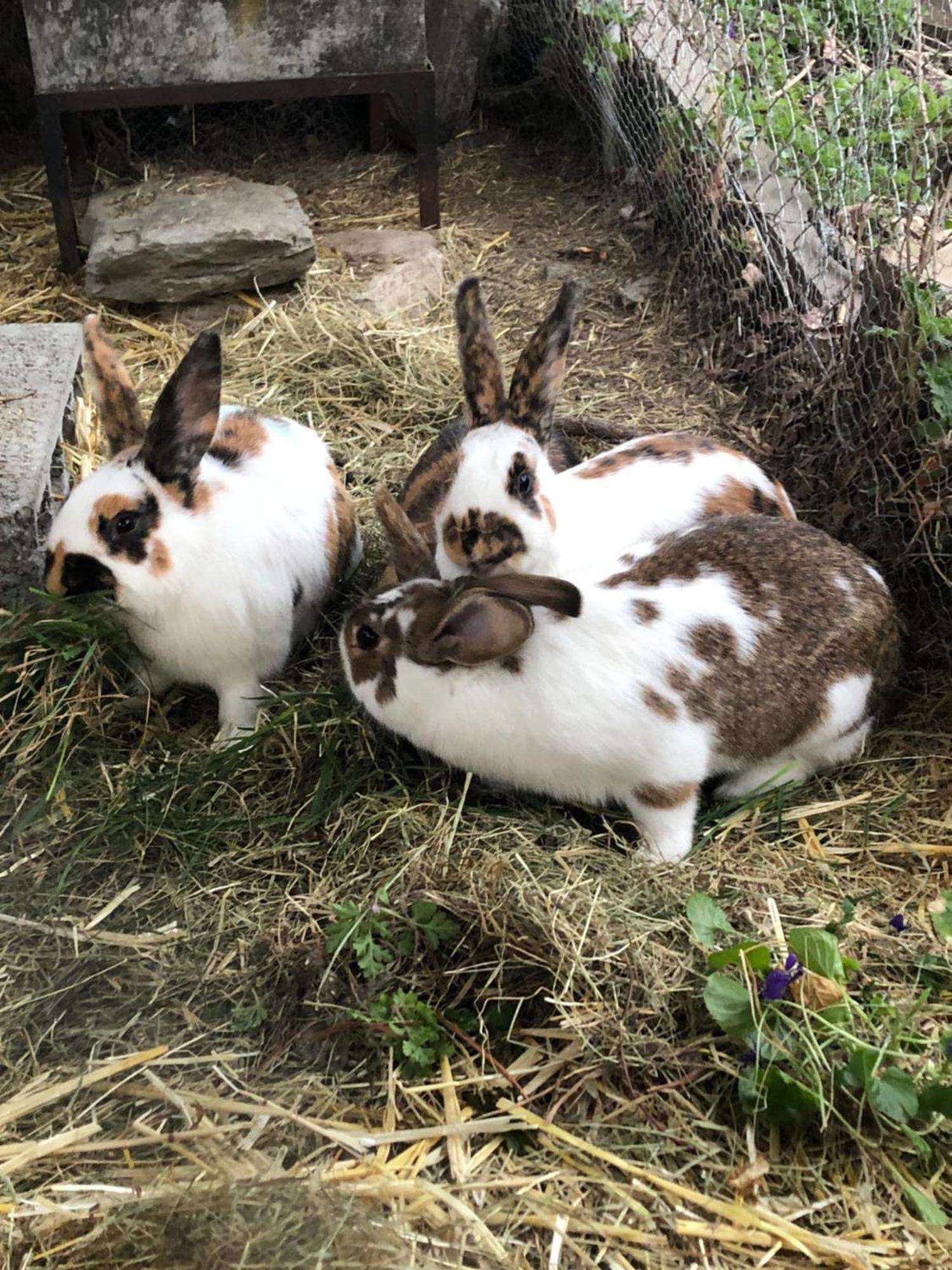 Domaine Bellevie Bnb Vex Zewnętrze zdjęcie